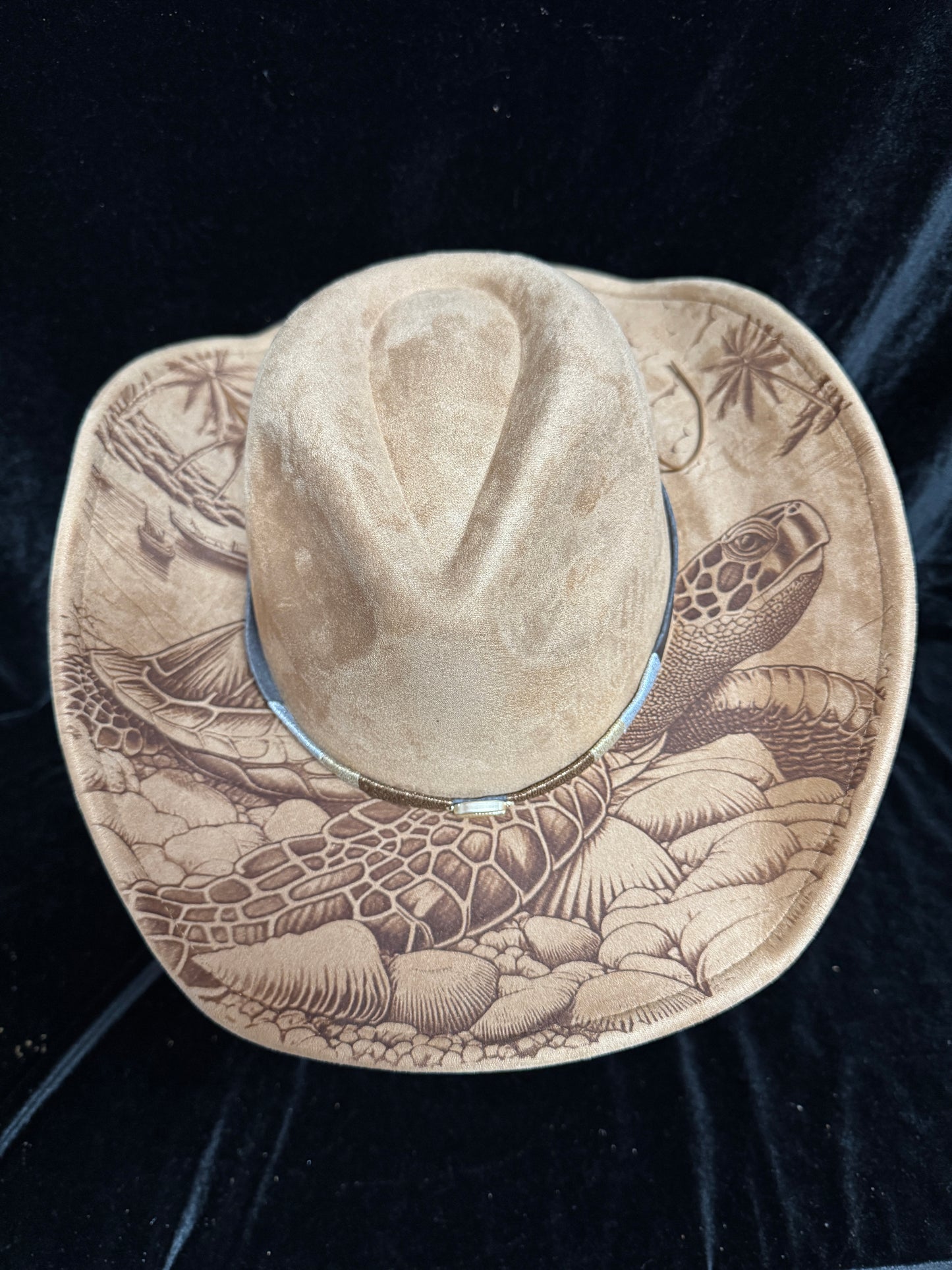 THE TURTLE HAT