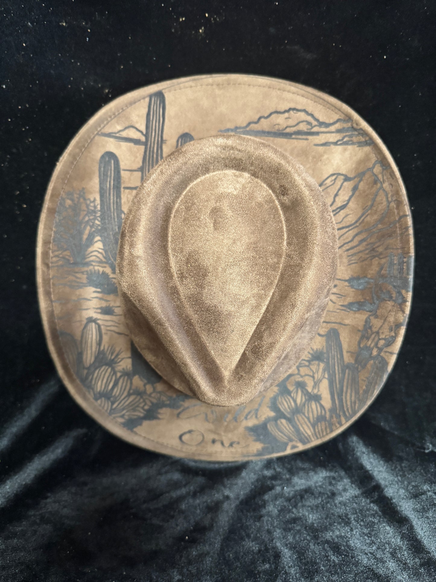 Southwest Cactus Hat